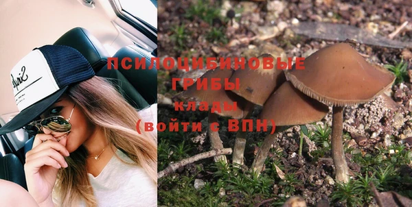 стафф Заволжье
