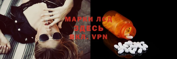 стафф Заволжье