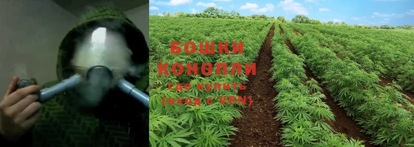 стафф Заволжье