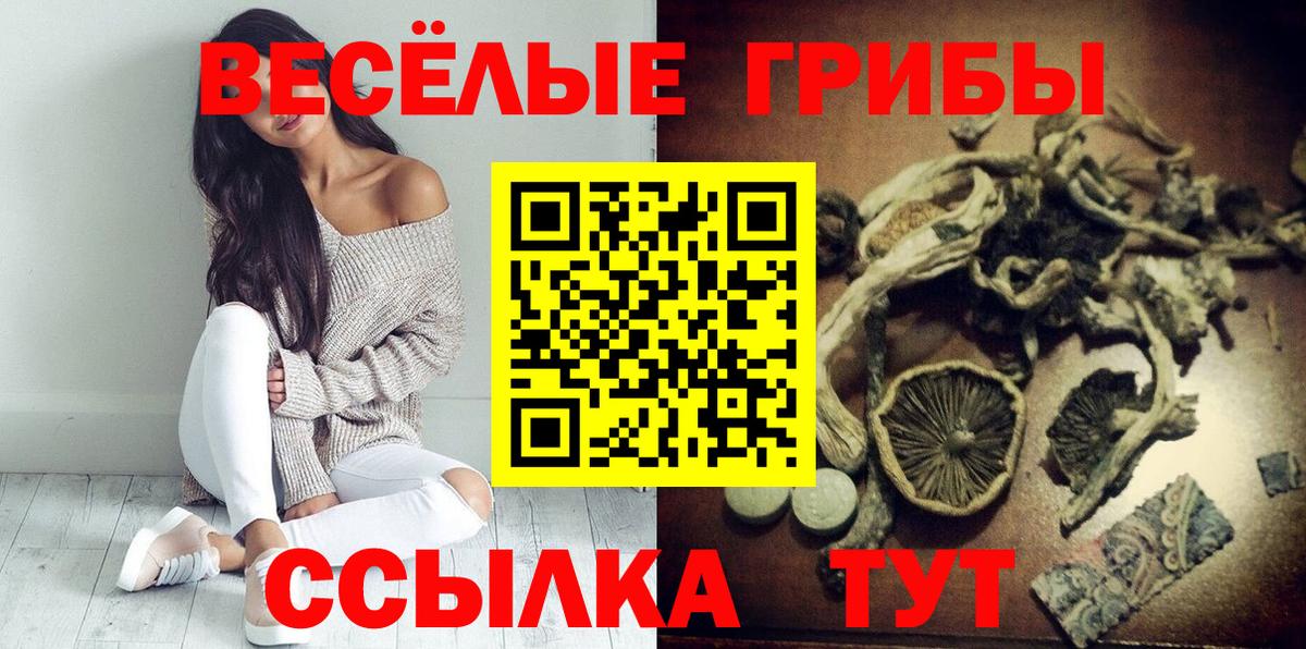 Галлюциногенные грибы Psilocybe Усть-Илимск